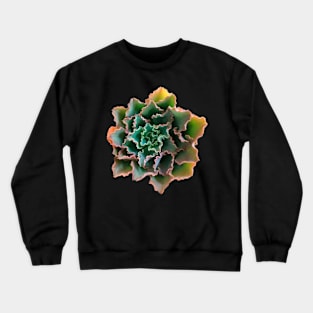 Suculenta Echeveria Dorothy Crewneck Sweatshirt